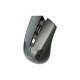 Havit MS919GT Wireless Mouse