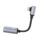 LS19 Type C 2 in 1 Audio Converter Metal Grey