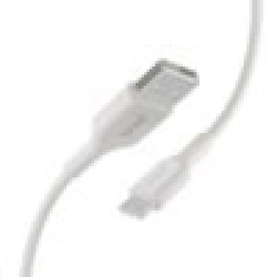Belkin PMWH2001yz1M 745883791262 USB-C Cable for Note10 / S10 / Pixel 3 / iPad Pro Heavy Duty 1mWHT
