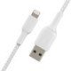 Belkin CAA002bt1MWH 745883788736 ” BOOST CHARGE USB-A Cable (15cm / 6in, White)”