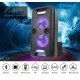 F&D PA926 Party Speaker