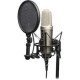 Rode NT2-A Microphone