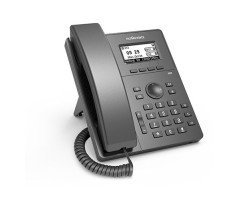 Flyingvoice P10P High Performance Entry-level IP Phone