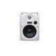 DSPPA POE6463 POE Powered Network Wall Mount Speaker