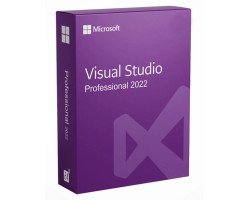 Visual Studio Professional 2022